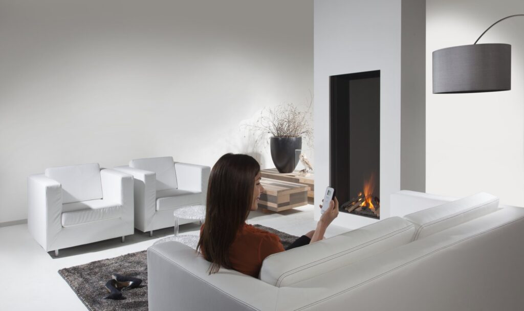 Element4  Sky Large Front Gas Fireplace