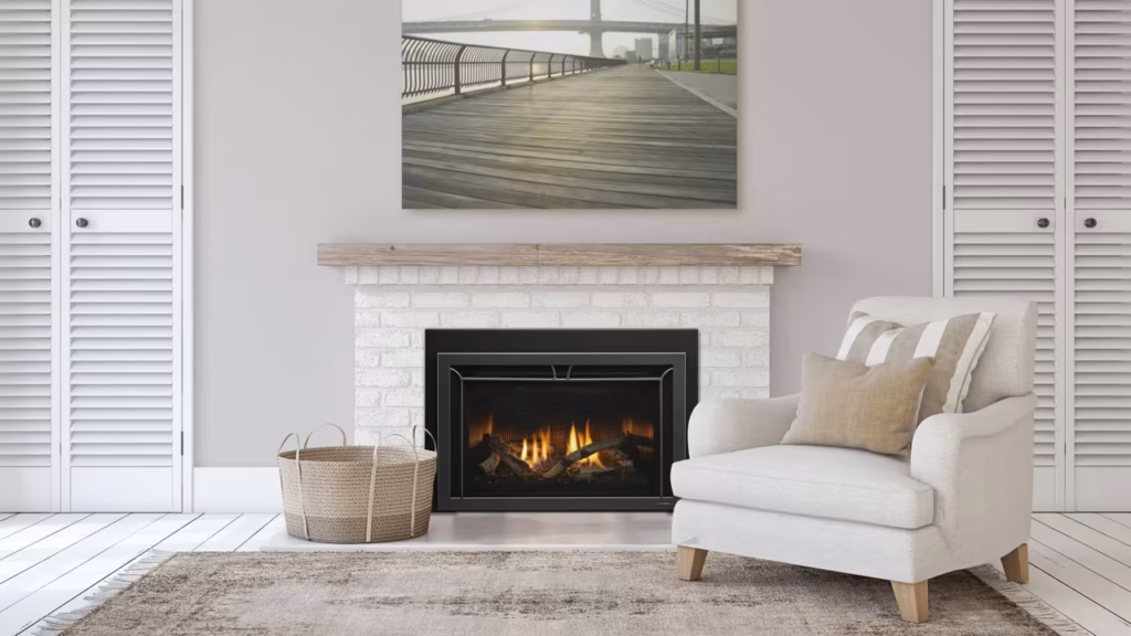 Heat and Glo Cosmo Gas Insert