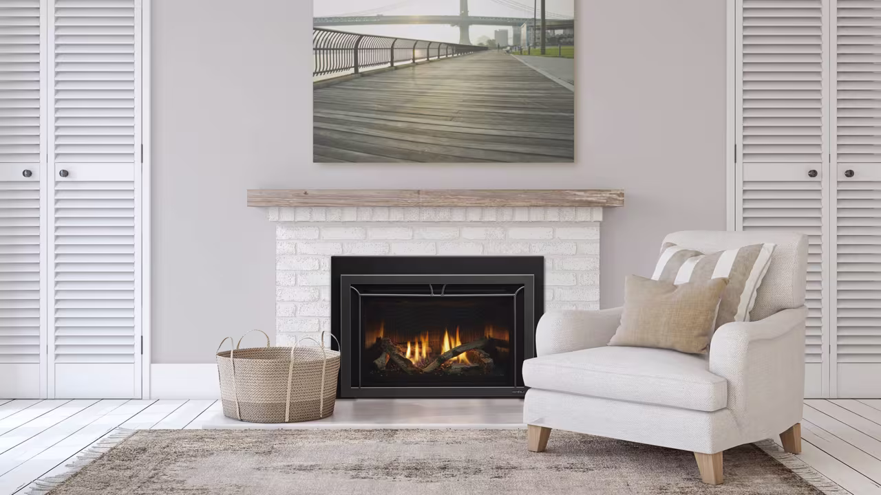 Heat and Glo Cosmo Gas Insert