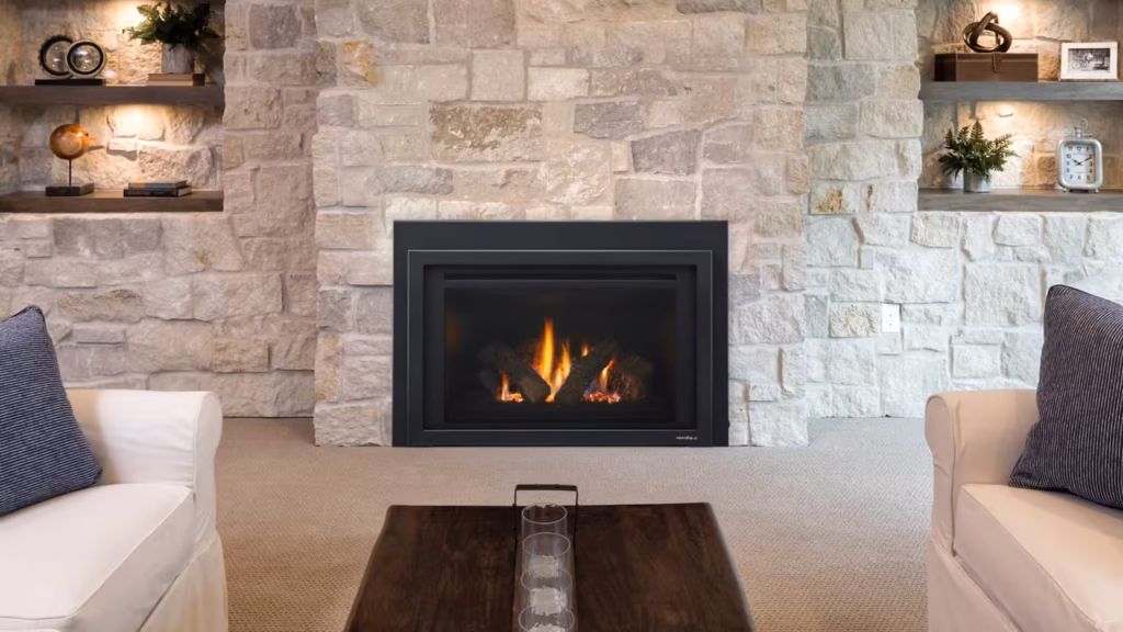 Heat and Glo Provident Gas Insert